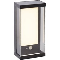 Solar LED White Polycarbonate Outdoor Wall Light In Black