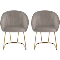 Vinita Upholstered Mink Velvet Dining Chairs In A Pair