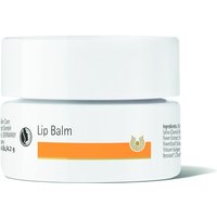 Click to view product details and reviews for Dr Hauschka Lip Balm 42g. Click to view product details and reviews for Dr Hauschka Lip Balm 42g.