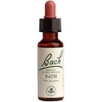 Click to view product details and reviews for Bach Vervain 20ml. Click to view product details and reviews for Bach Vervain 20ml.
