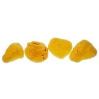 Click to view product details and reviews for Bodycare Natural Sea Sponge Small 15 4 Pack. Click to view product details and reviews for Bodycare Natural Sea Sponge Small 15 4 Pack.