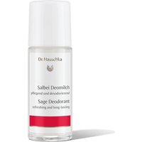 Click to view product details and reviews for Dr Hauschka Sage Deodorant Formerly Deodorant Fresh. Click to view product details and reviews for Dr Hauschka Sage Deodorant Formerly Deodorant Fresh.