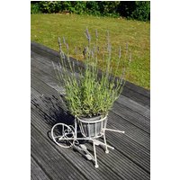 Blumentopfhalter Schubkarre Nostalgie Pflanztopfhalter Landhaus Metall Weiß Blumentopfhalter Schubkarre Nostalgie Pflanztopfhalter Landhaus Metall Weiß