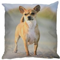 Outdoor Kissen Hundemotiv Gartenkissen Hund Welpe Wasserabweisend 50 x 50 cm Outdoor Kissen Hundemotiv Gartenkissen Hund Welpe Wasserabweisend 50 x 50 cm