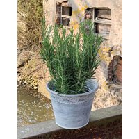 Zinkeimer Blumentopf Rund Pflanztopf Blumenkübel Vintage Landhaus Ø 19cm Zinkeimer Blumentopf Rund Pflanztopf Blumenkübel Vintage Landhaus Ø 19cm