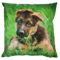 Outdoor Kissen Hund Welpe Schäferhund Gartenkissen Wasserabweisend 40 x 40 cm Outdoor Kissen Hund Welpe Schäferhund Gartenkissen Wasserabweisend 40 x 40 cm