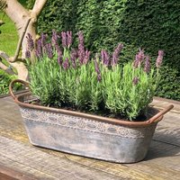 Zinktopf Pflanztopf Zink Blumentopf Oval Lang mit Griffen Landhausstil 40cm Zinktopf Pflanztopf Zink Blumentopf Oval Lang mit Griffen Landhausstil 40cm