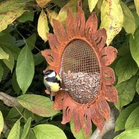 Vogelfutterspender Sonnenblume zum Aufhängen Metall Edelrost Vogelfutterstation Vogelfutterspender Sonnenblume zum Aufhängen Metall Edelrost Vogelfutterstation