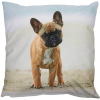 Outdoor Kissen Hundemotiv Dogge Gartenkissen Hund Wasserabweisend 50 x 50 cm Outdoor Kissen Hundemotiv Dogge Gartenkissen Hund Wasserabweisend 50 x 50 cm