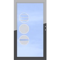 Glas- Tor mit Metallrahmen. auf Maß Glas- Tor mit Metallrahmen. auf Maß