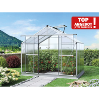 Gewächshaus 256×192 cm, Tomatenhaus 6 od. 8 mm, Tomatengewächshaus , kleines Gewächshaus, Glashaus, Gewächshaus Glas Gewächshaus 256×192 cm, Tomatenhaus 6 od. 8 mm, Tomatengewächshaus , kleines Gewächshaus, Glashaus, Gewächshaus Glas