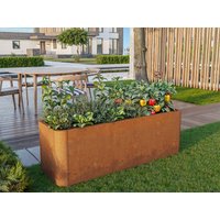Hochbeet aus Cortenstahl 120x40x40 cm, Matgerialstärke 2 mm, Edelrost Hochbeet, Hochbeet Bausatz, Hochbeet Metall, Hochbeet Stahl Hochbeet aus Cortenstahl 120x40x40 cm, Matgerialstärke 2 mm, Edelrost Hochbeet, Hochbeet Bausatz, Hochbeet Metall, Hochbeet Stahl