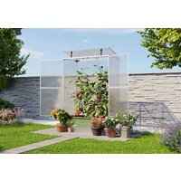 Tomatenhaus Emma 147×76 cm, Höhe: 173 cm, 8 mm Doppelstegplatten, ideales Tomatenüberdach Tomatenhaus Emma 147×76 cm, Höhe: 173 cm, 8 mm Doppelstegplatten, ideales Tomatenüberdach