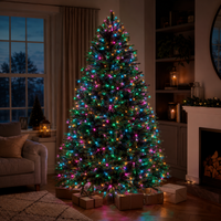 2000 Aurora Compact LED Lights - Pink Amber Green Cyan - 49.97M by Festive