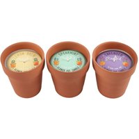 Click to view product details and reviews for 3 X Fragranced Flower Pot Candles. Click to view product details and reviews for 3 X Fragranced Flower Pot Candles.