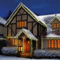 5000 LED Cluster Brights in Warm White - 62.5M