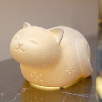 Click to view product details and reviews for 3d Ceramic Smiley Cat Lamp. Click to view product details and reviews for 3d Ceramic Smiley Cat Lamp.