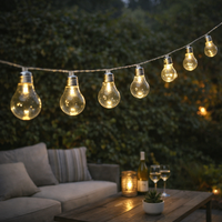 3.9m LED Bulb Garland