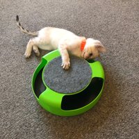 Click to view product details and reviews for Catch The Mouse Cat Toy. Click to view product details and reviews for Catch The Mouse Cat Toy.