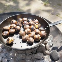 Click to view product details and reviews for Chestnut Roasting Pan. Click to view product details and reviews for Chestnut Roasting Pan.