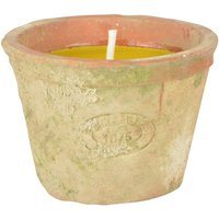 Click to view product details and reviews for Citronella Candle In Terracotta Pot Ff254. Click to view product details and reviews for Citronella Candle In Terracotta Pot Ff254.
