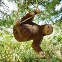 Click to view product details and reviews for Climbing Sloth Decoration. Click to view product details and reviews for Climbing Sloth Decoration.