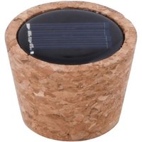 Click to view product details and reviews for Terrarium Solar Cork. Click to view product details and reviews for Terrarium Solar Cork.