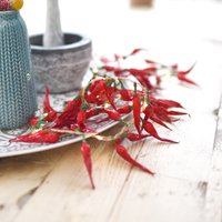 Click to view product details and reviews for Dried Chilli Pepper Fairy Lights. Click to view product details and reviews for Dried Chilli Pepper Fairy Lights.