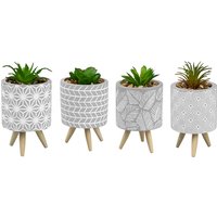 Click to view product details and reviews for Faux Plant In Grey Pot With Legs. Click to view product details and reviews for Faux Plant In Grey Pot With Legs.