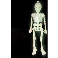 Click to view product details and reviews for Skeletons Glow In The Dark 16 Pack. Click to view product details and reviews for Skeletons Glow In The Dark 16 Pack.