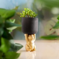 Click to view product details and reviews for Golden Rabbit Pedestal Planter. Click to view product details and reviews for Golden Rabbit Pedestal Planter.