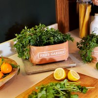 Click to view product details and reviews for Herb Garden Terracotta Trough. Click to view product details and reviews for Herb Garden Terracotta Trough.