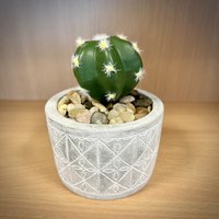 Click to view product details and reviews for Faux Cactus In Cement Pot. Click to view product details and reviews for Faux Cactus In Cement Pot.