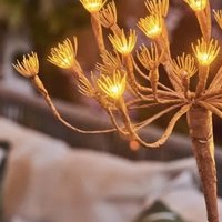 Click to view product details and reviews for Solar And Battery Wild Fennel Stake Light Dual Power. Click to view product details and reviews for Solar And Battery Wild Fennel Stake Light Dual Power.