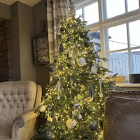 750 Warm White Treebrights with Timer