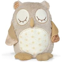 Cloud B Nighty Night Owl Smart Sensor