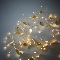 Click to view product details and reviews for Palmi 64 Warm White Led Gold String Lights. Click to view product details and reviews for Palmi 64 Warm White Led Gold String Lights.