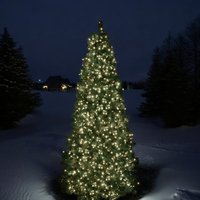 Click to view product details and reviews for 2000 Warm White Treebrights With Timer. Click to view product details and reviews for 2000 Warm White Treebrights With Timer.