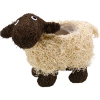 Click to view product details and reviews for Shelley Sheep Rattan Planter By Smart Garden. Click to view product details and reviews for Shelley Sheep Rattan Planter By Smart Garden.