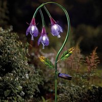 Click to view product details and reviews for Solar Fuchsia Stake Light. Click to view product details and reviews for Solar Fuchsia Stake Light.
