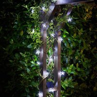 Click to view product details and reviews for Solar Powered 25 Star Fairy Lights. Click to view product details and reviews for Solar Powered 25 Star Fairy Lights.