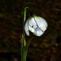 Click to view product details and reviews for Solar Snowdrop Stake Light. Click to view product details and reviews for Solar Snowdrop Stake Light.