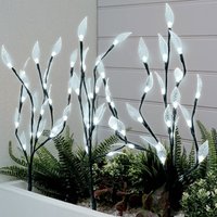 Click to view product details and reviews for Solar Tree Stake Lights With 60 White Leds. Click to view product details and reviews for Solar Tree Stake Lights With 60 White Leds.