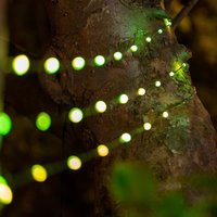 Click to view product details and reviews for Snowdrop Colour Change Solar Usb Lights Solar Centre. Click to view product details and reviews for Snowdrop Colour Change Solar Usb Lights Solar Centre.