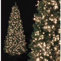 Click to view product details and reviews for 750 Warm White Treebrights With Timer. Click to view product details and reviews for 750 Warm White Treebrights With Timer.