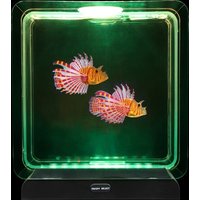 Click to view product details and reviews for Lion Fish Tropical Mood Light. Click to view product details and reviews for Lion Fish Tropical Mood Light.