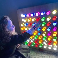 Sensory Hanging Wall Panel (WHLPCR)