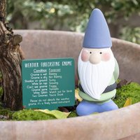 Click to view product details and reviews for Weather Forecasting Gnome. Click to view product details and reviews for Weather Forecasting Gnome.