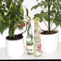 Click to view product details and reviews for Wicked Waterers Lemon And Lime. Click to view product details and reviews for Wicked Waterers Lemon And Lime.