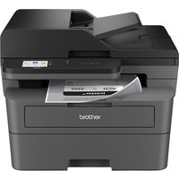 Multifunctional Laser printer Brother DCP-L2660DW